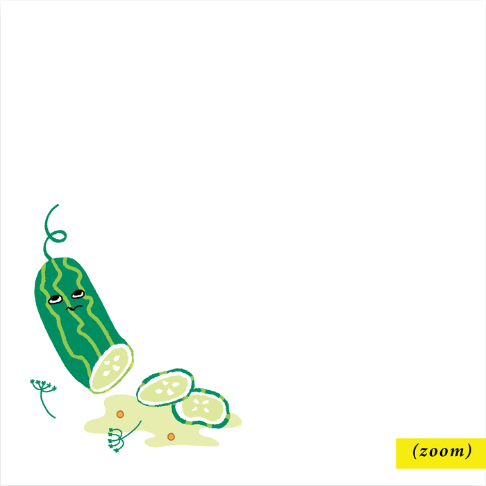 Party of One Extra Salty Pickles themed notepad with pickle graphic, perfect for note-taking and writing.