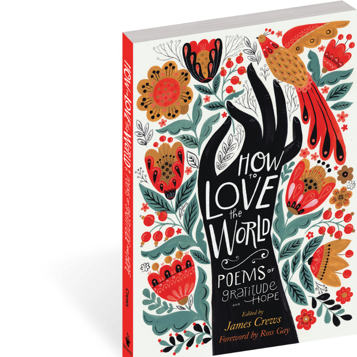 Open book titled "How to Love the World: Poems of Gratitude and Hope" by Hachette Book Group, showing colorful pages.