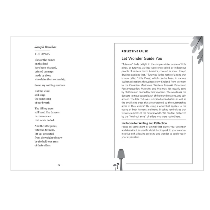 Cover image of "The Wonder of Small Things," a poetry book of peace and renewal by Hachette Book Group.